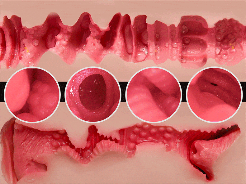 5.5kg buttock mold