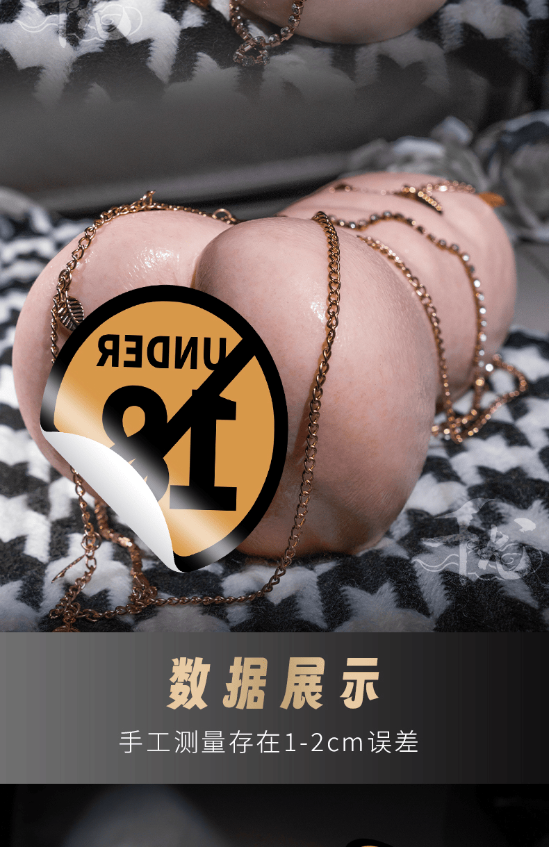 Precious Artifact (Kasumi Akiba)